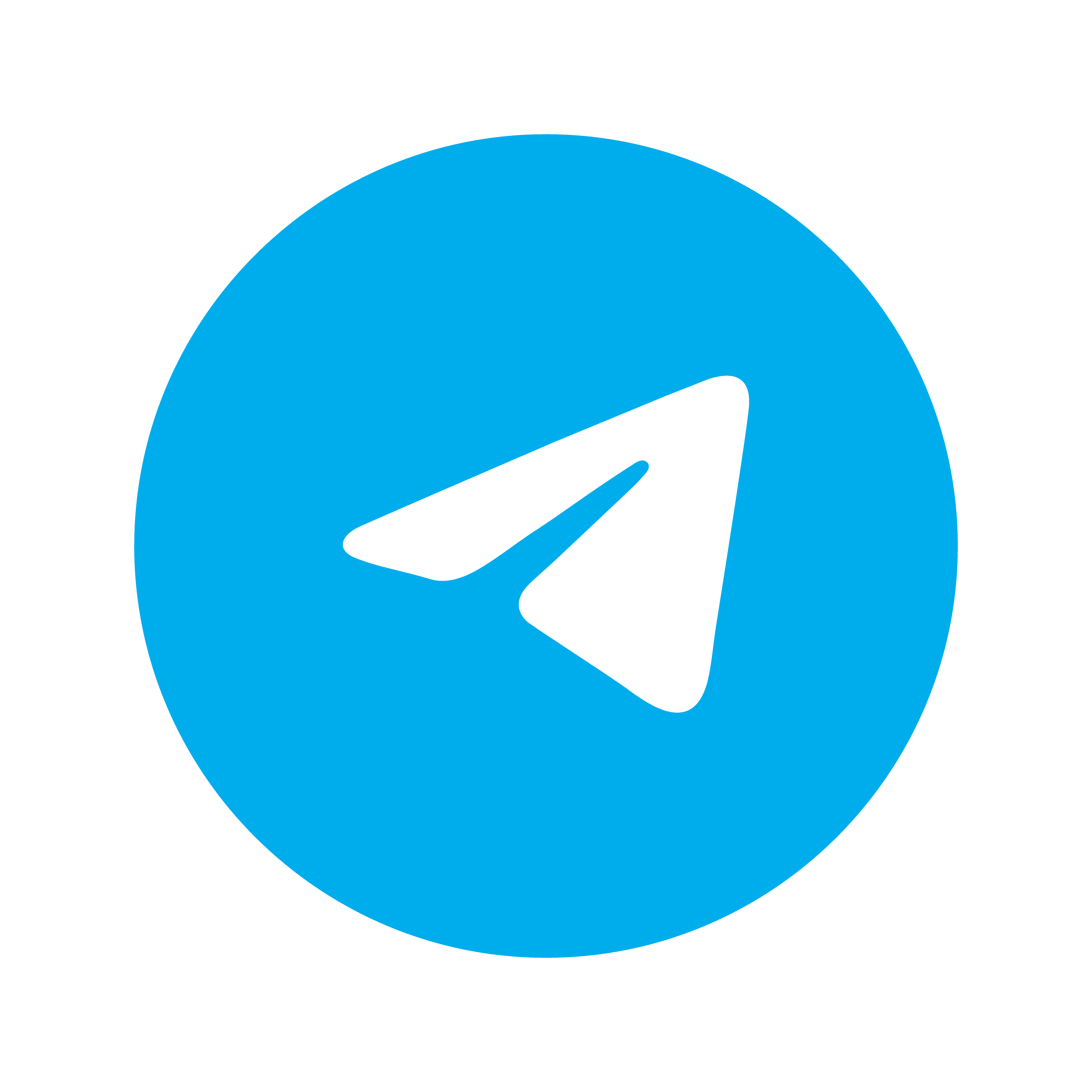 Telegram Icon